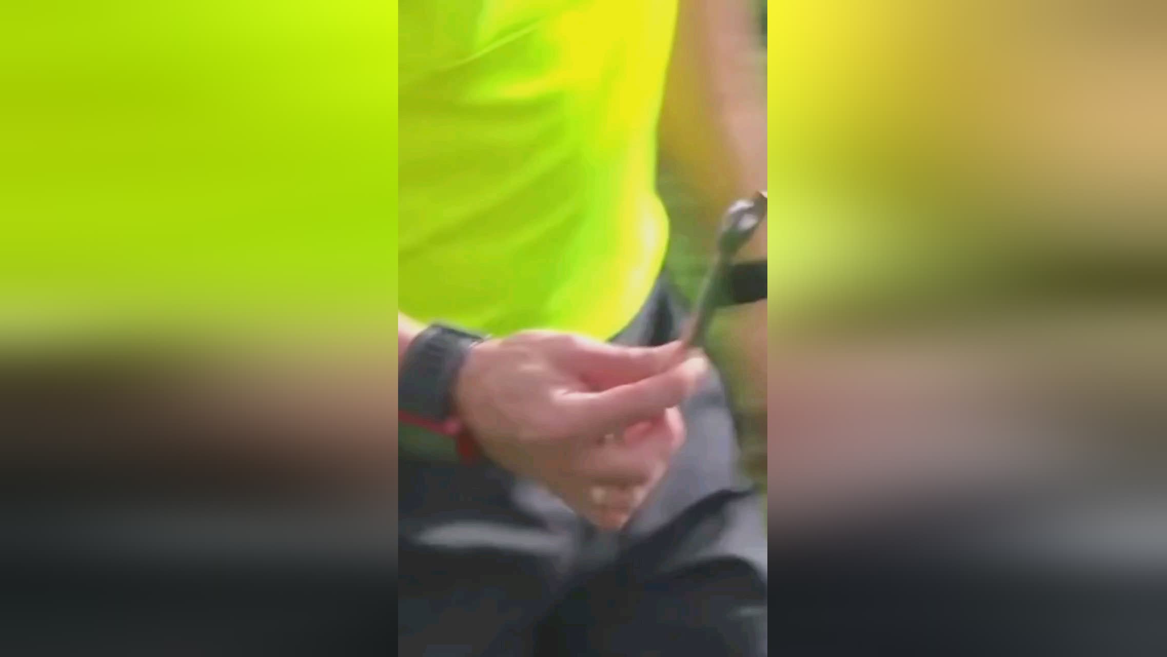 业运动