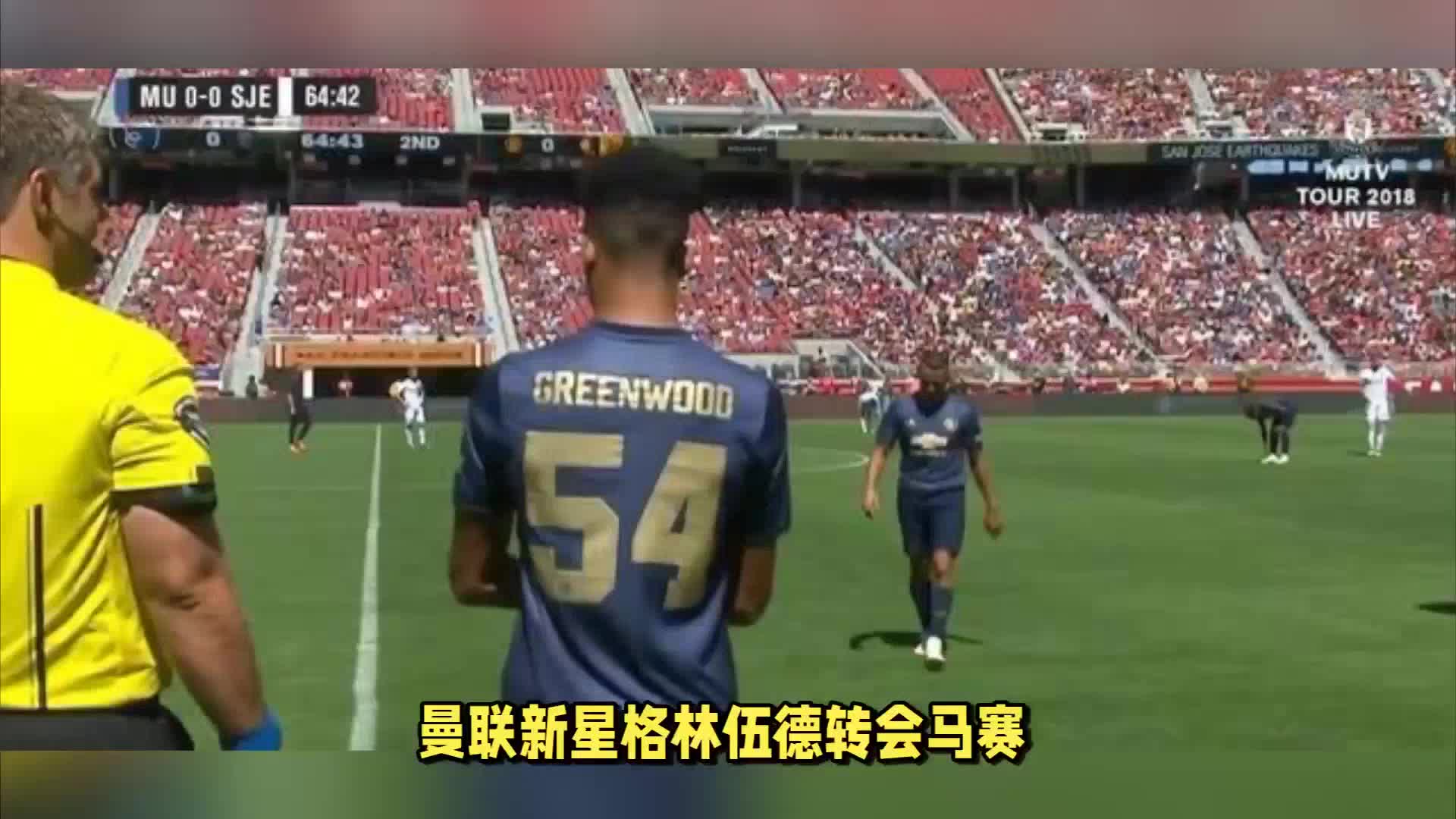 视野中